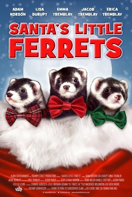 Krusty The Ferret