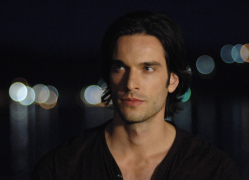 Daniel di Tomasso