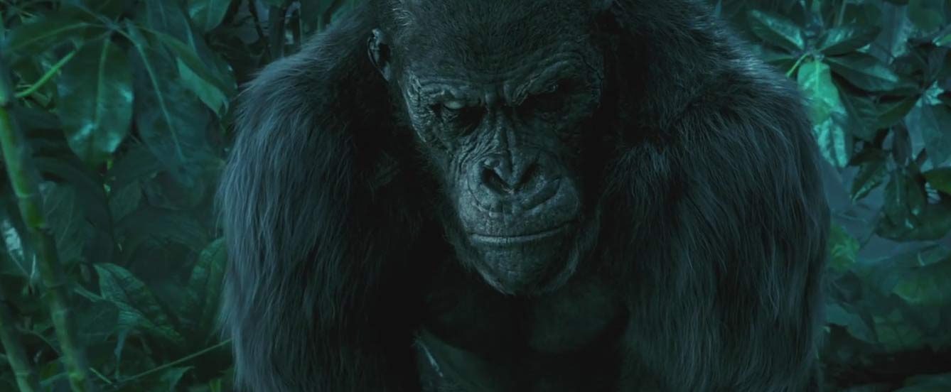 Kerchak