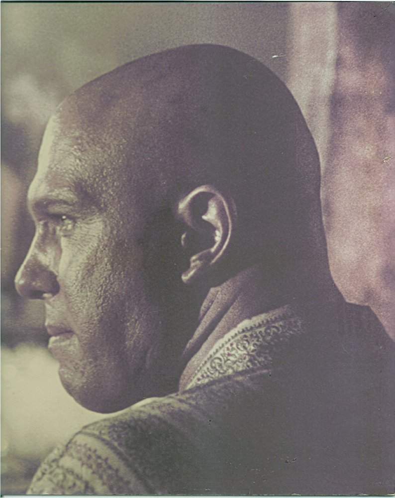 Lee Paul