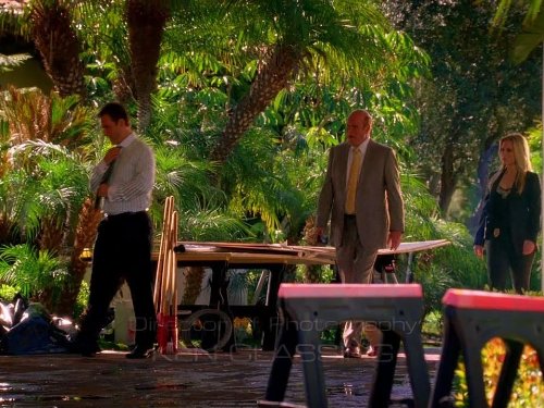 Rex Linn