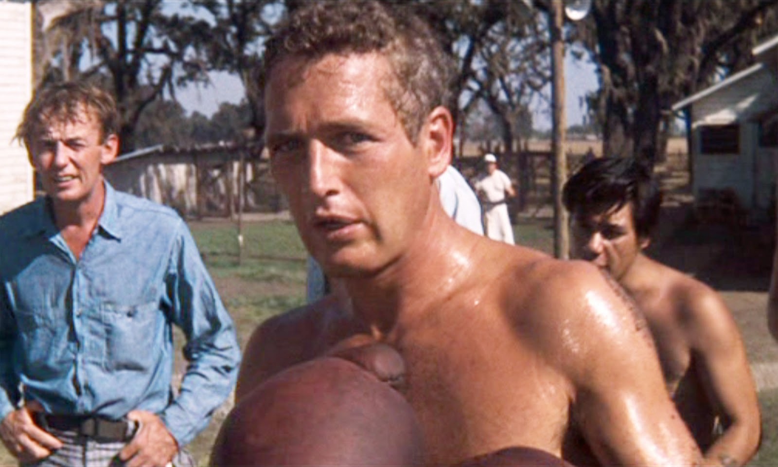 Warren Finnerty