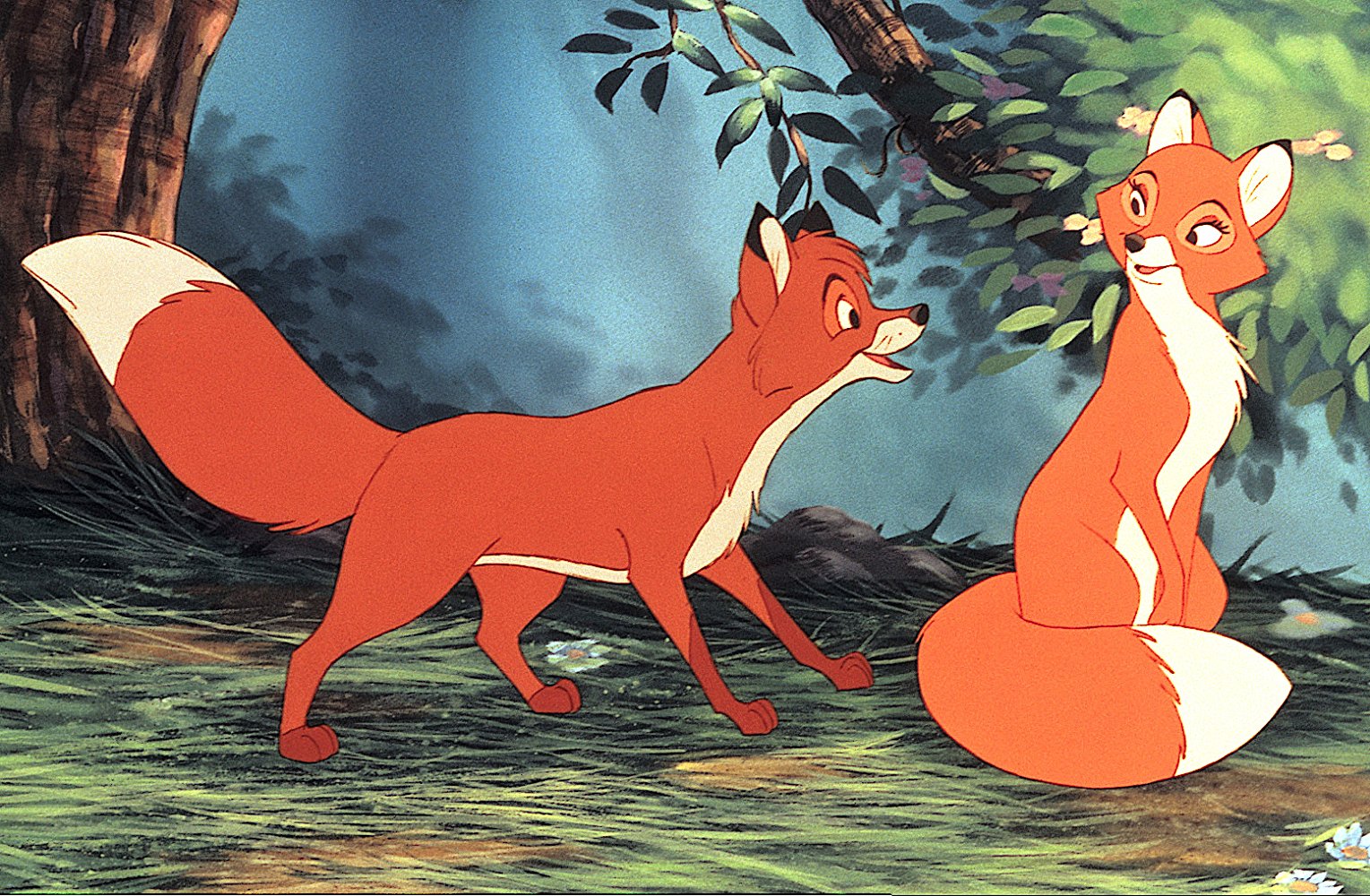 Tod