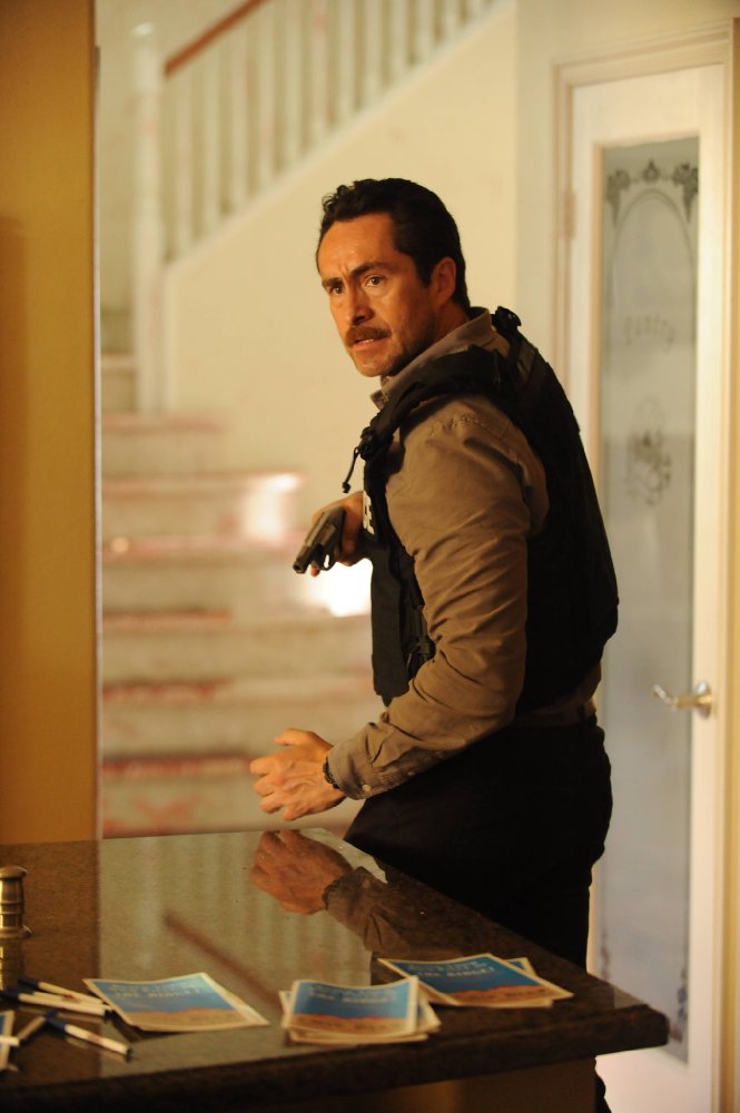 Demián Bichir