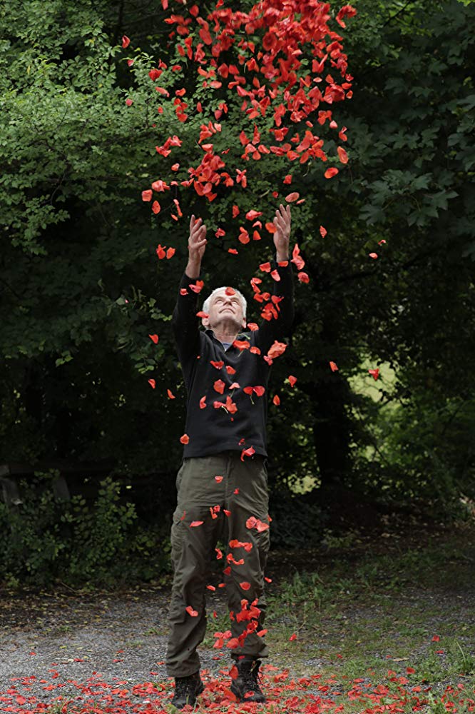 Andy Goldsworthy