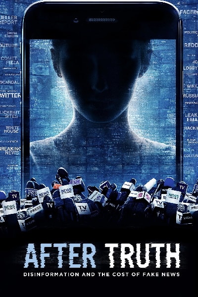 After Truth: Disinformation and the Cost of Fake News