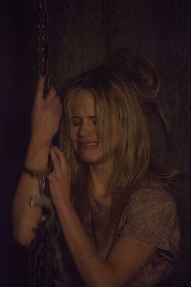 Halston Sage