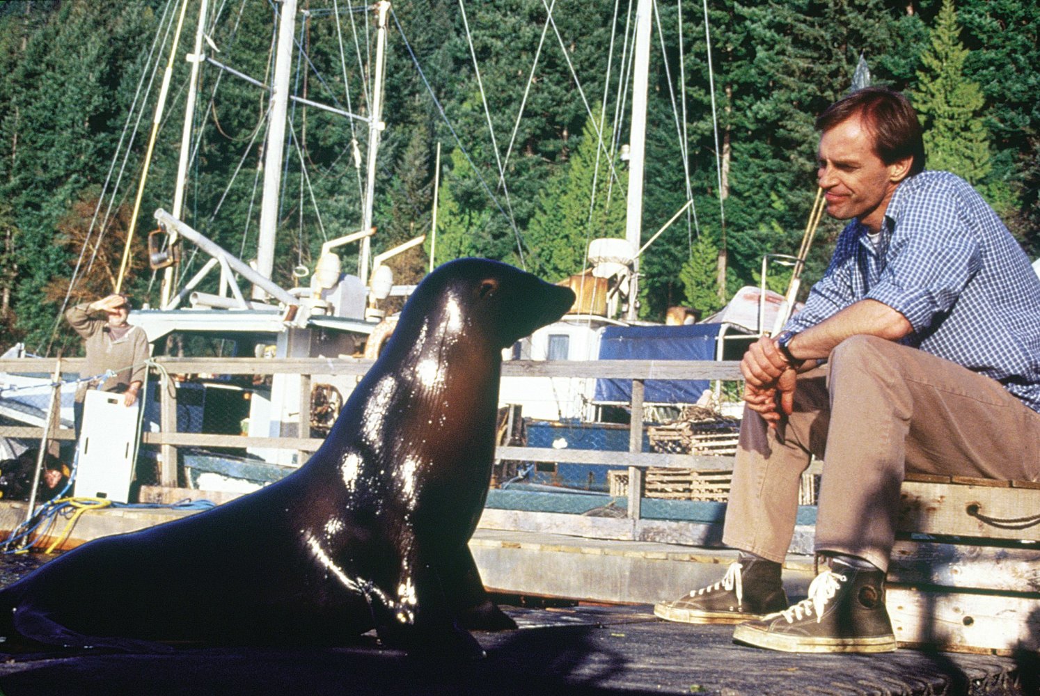 Tory The Sea Lion