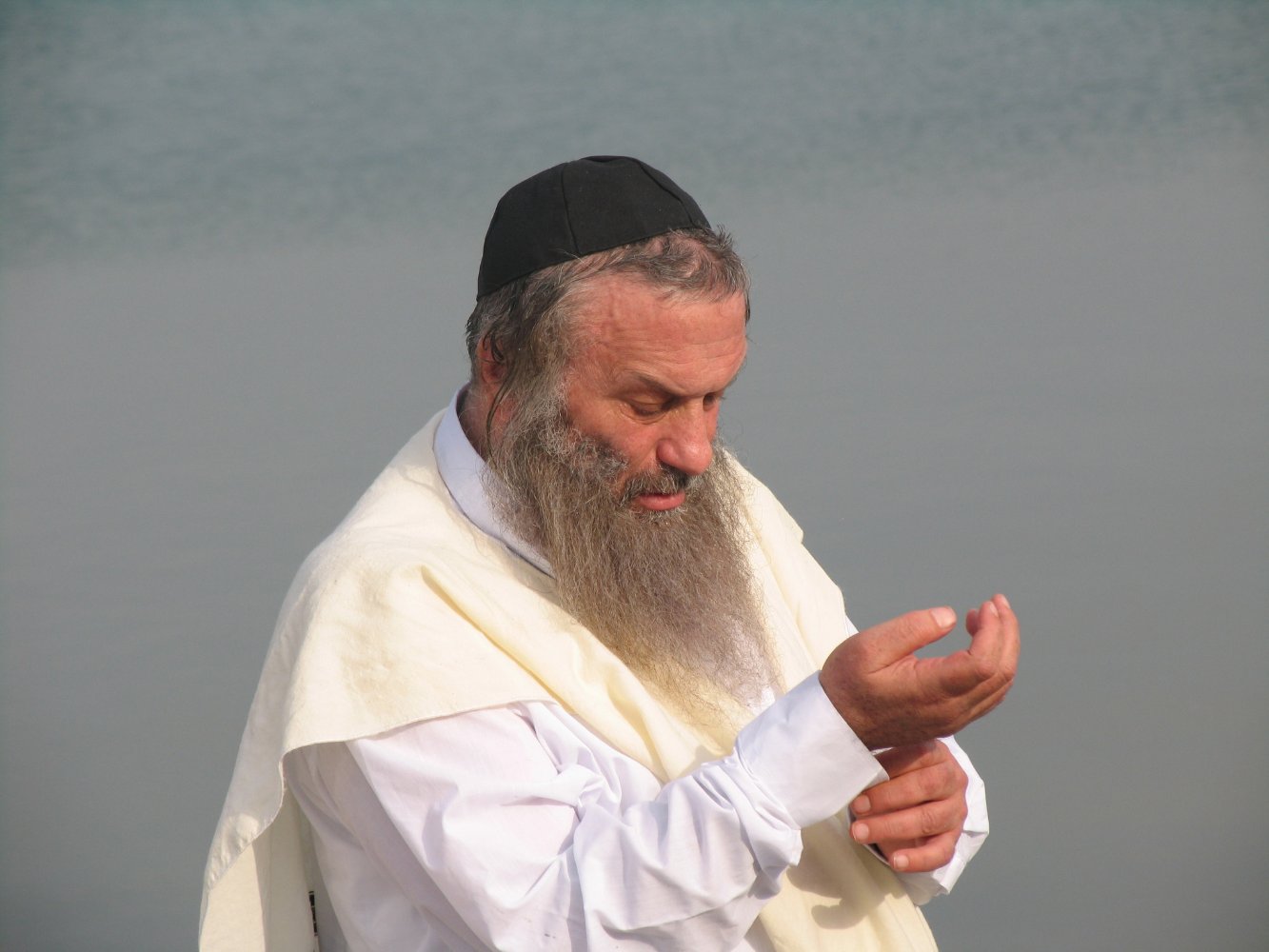 Assi Dayan