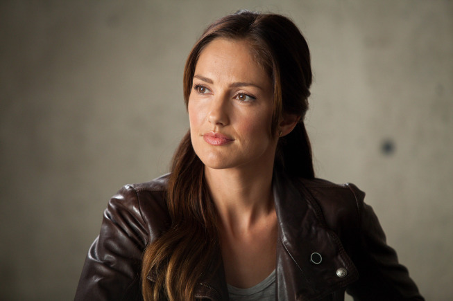 Minka Kelly
